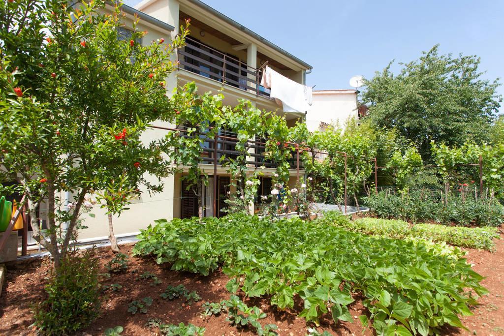 Apartment Oliva Pula Exterior photo